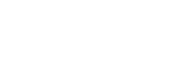 American Intelligence Corporation